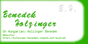 benedek holzinger business card